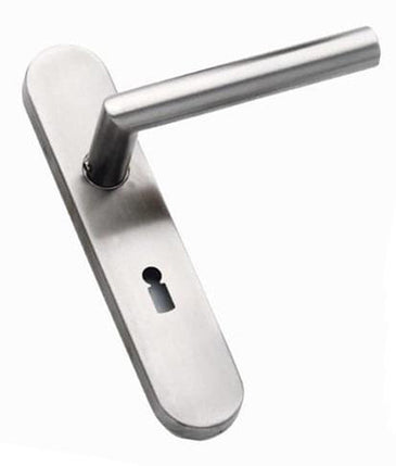 Lever Handles on Plate (SS)