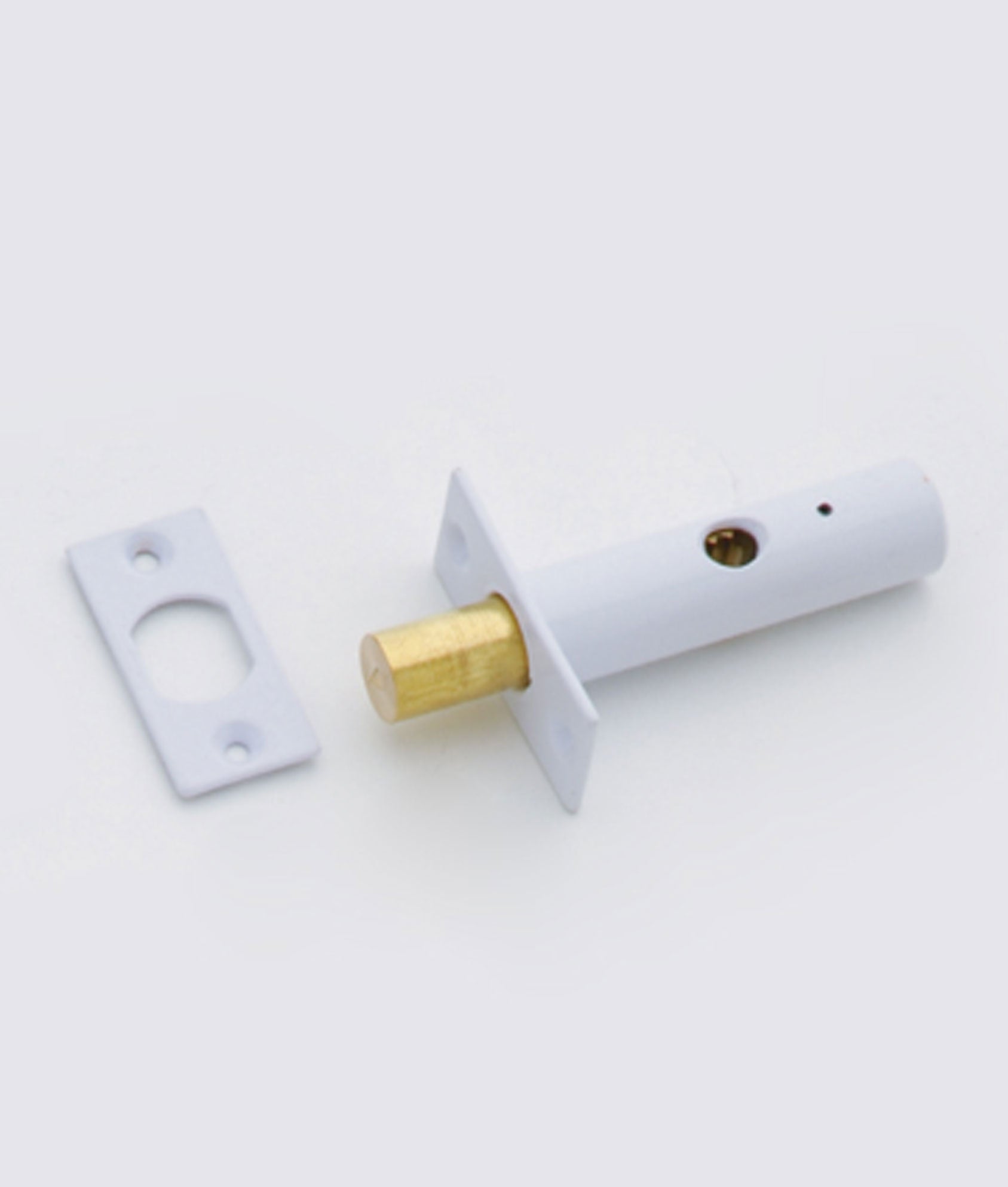 Security Mortice Door Bolt