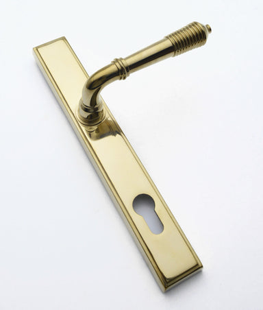 Unlacquered Polished Brass Jamison Multi Point Lever on Plate
