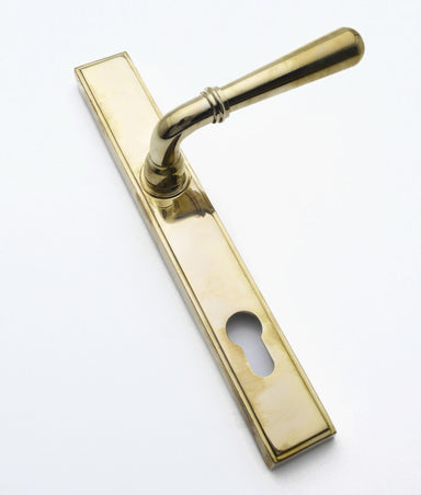 Unlacquered Polished Brass Elongated Multi Point Lever on Plate