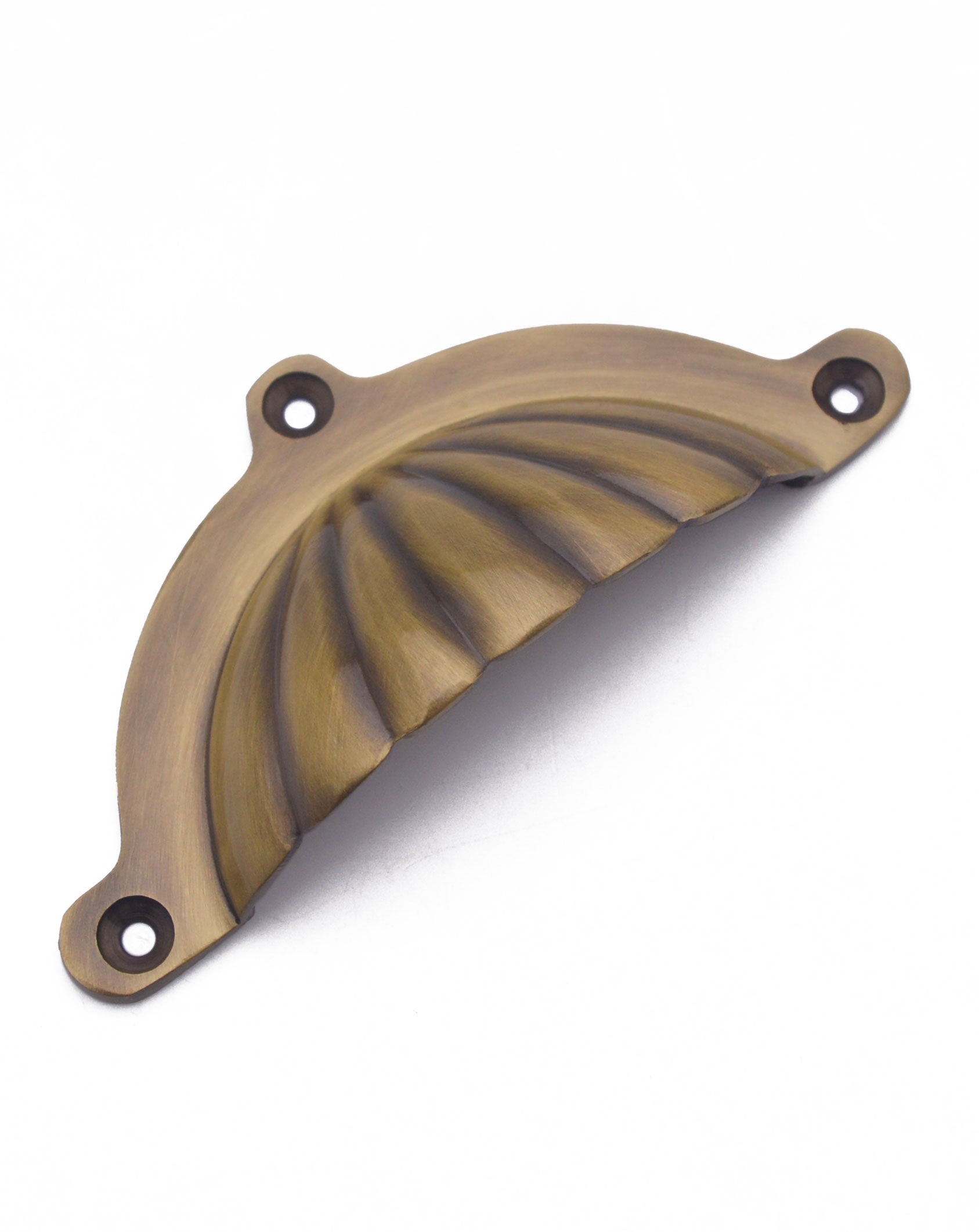 Sunrise Shell Cup Drawer Pull