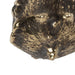 Oak Drawer Handle EA1018