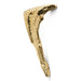 Kerma Door Pull EA1028