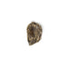Nile Drawer Handle EA1030