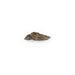 Fungi Drawer Handle EA1031