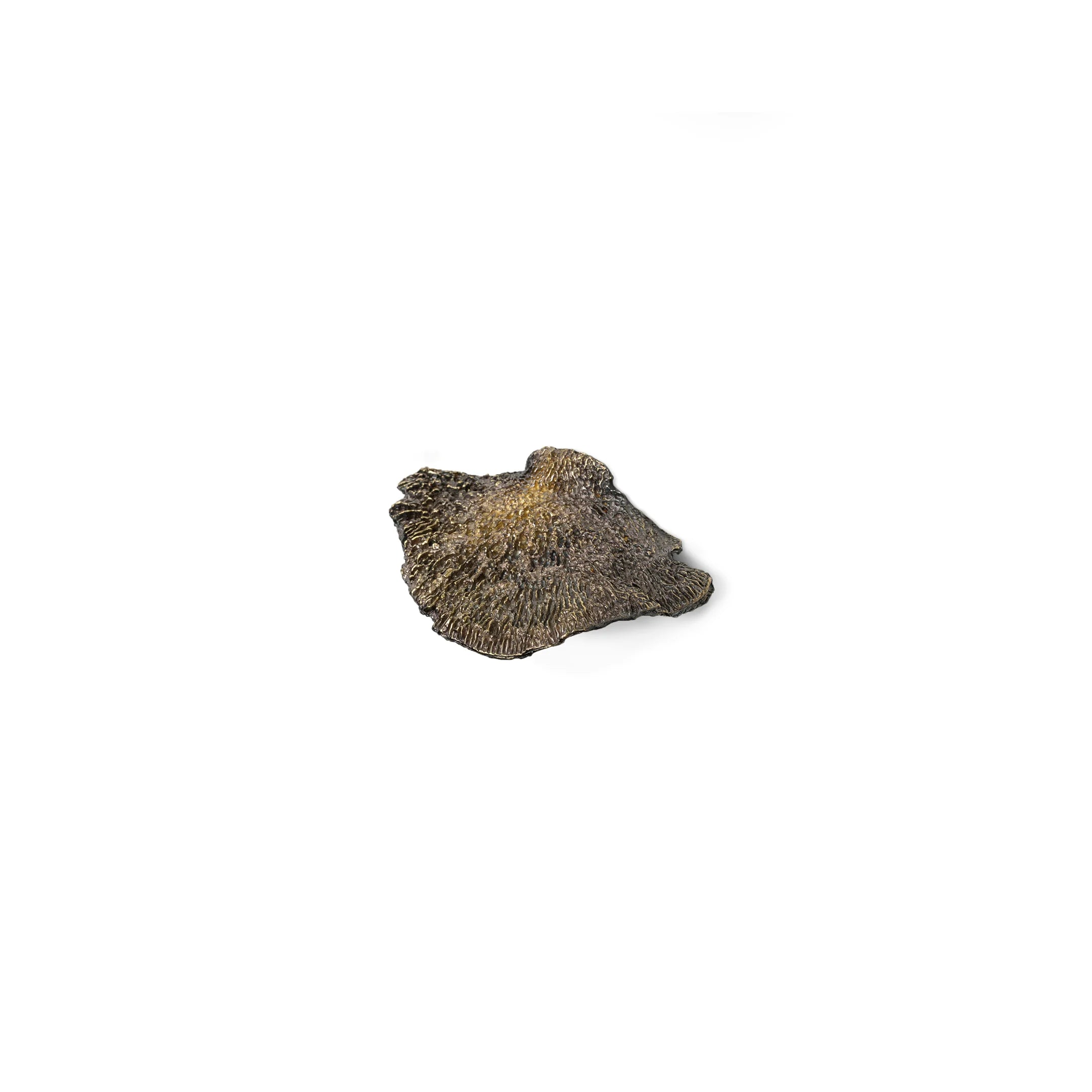 Fungi Drawer Handle EA1032