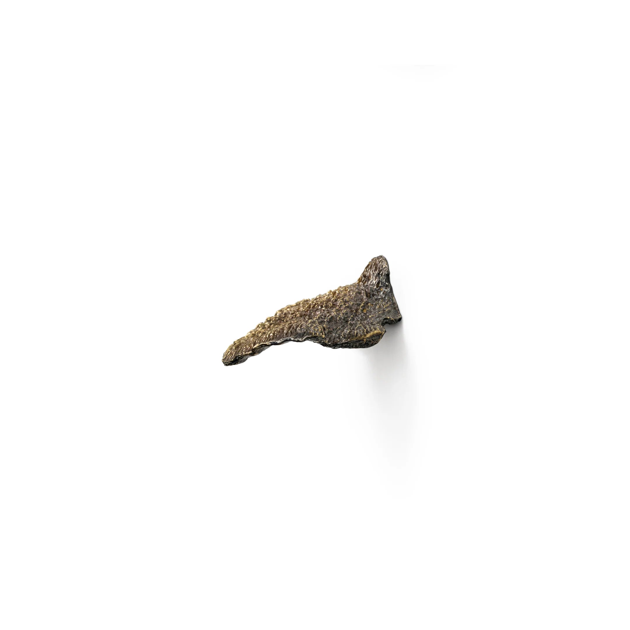 Fungi Drawer Handle EA1032