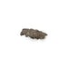 Fungi Drawer Handle EA1033