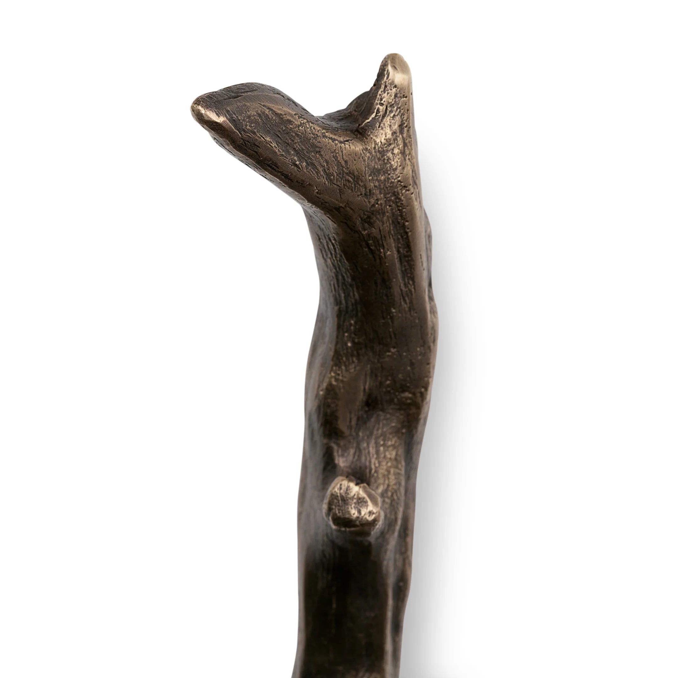 Twig Door Pull EA1044
