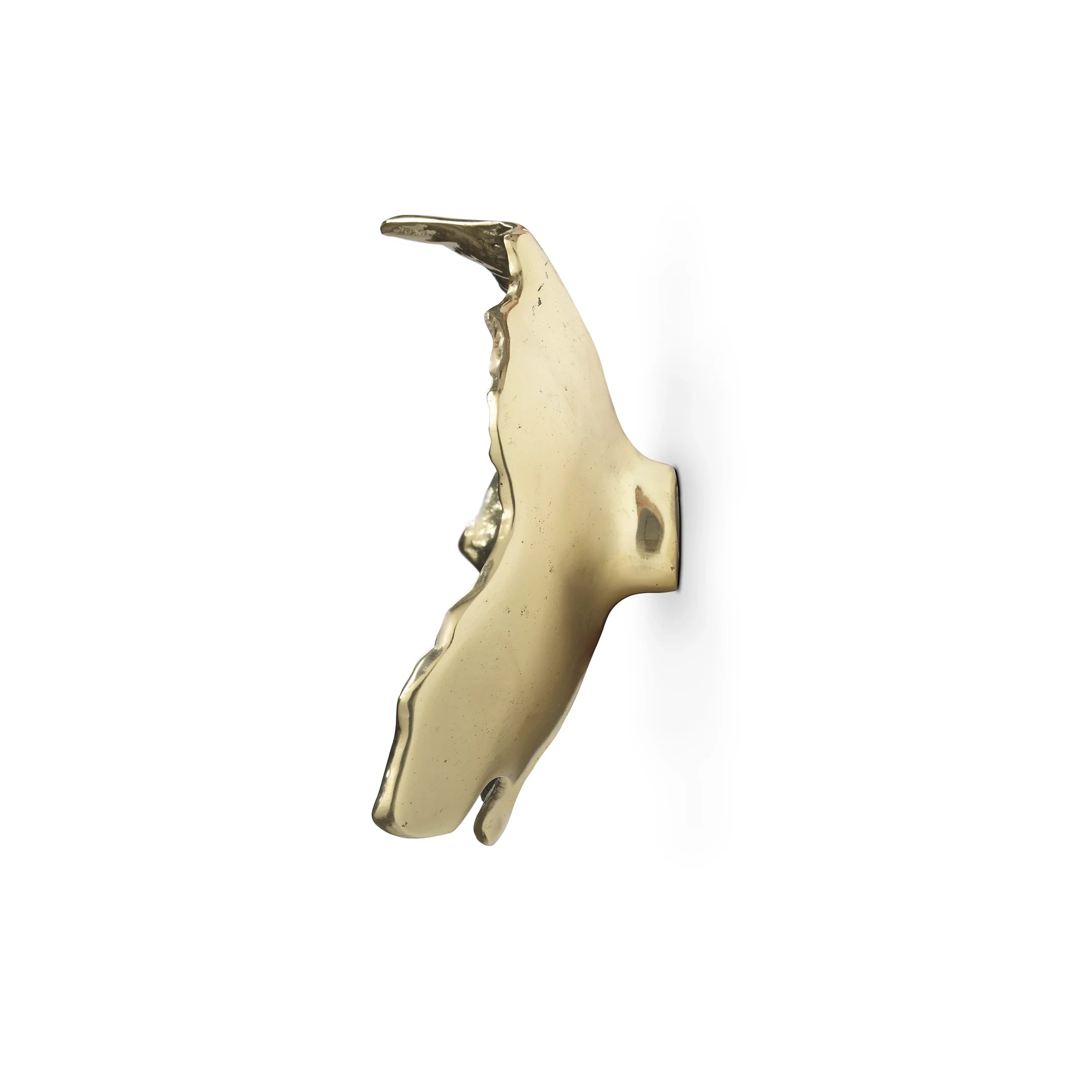 Leaf Door Handle EA1052