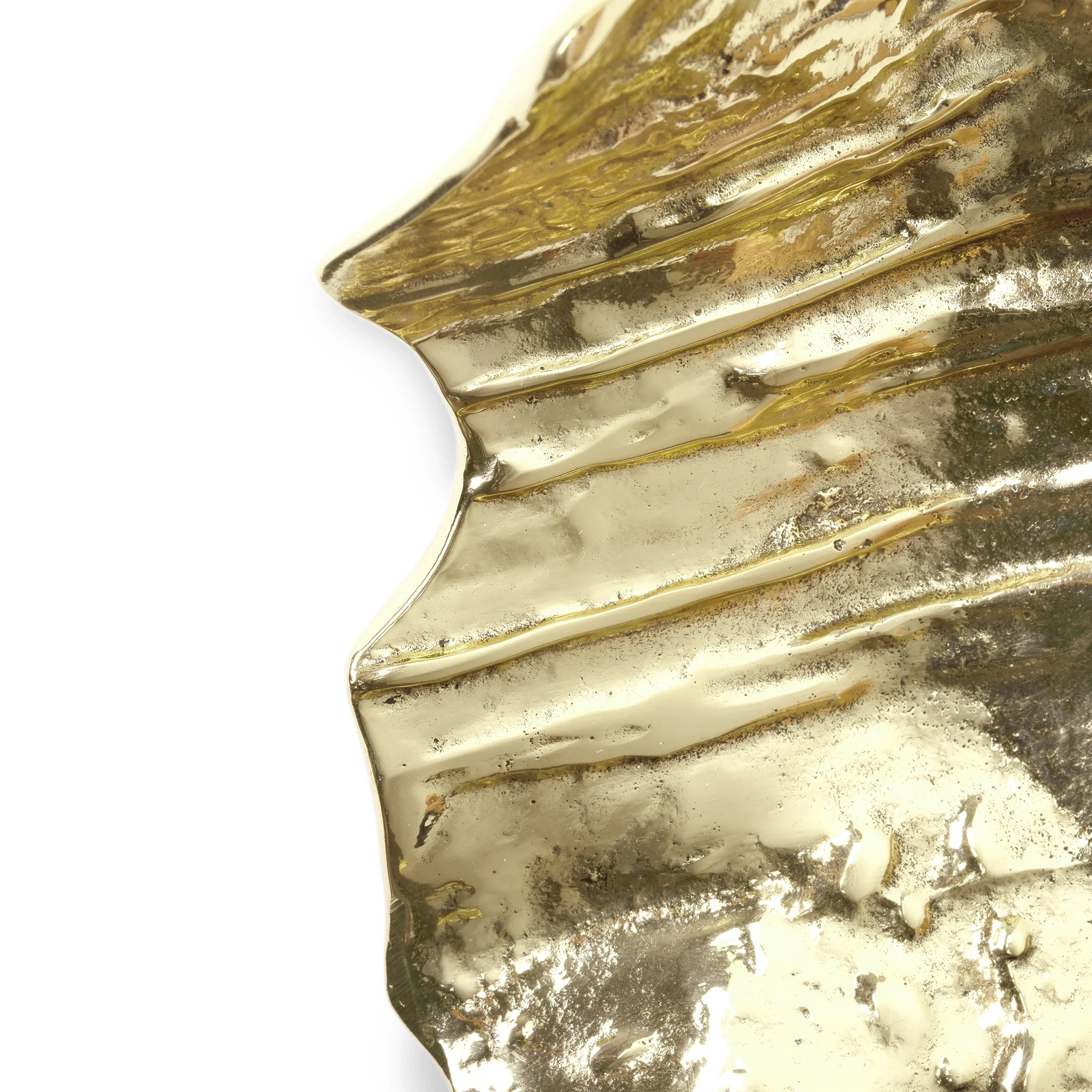 Leaf Door Pull EA1053