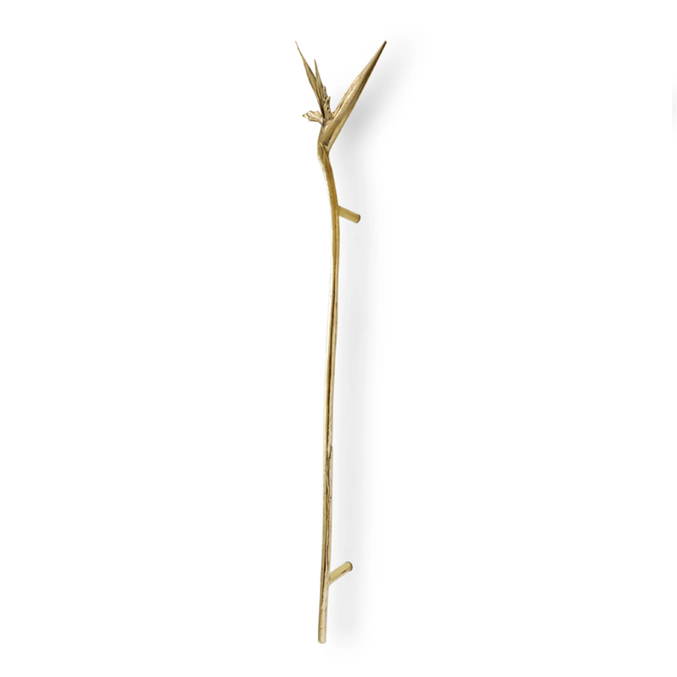 Strelitzia Door Pull EA1061