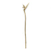 Strelitzia Door Pull EA1061