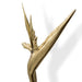 Strelitzia Door Pull EA1061