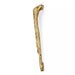 Kerma Door Pull EA1104