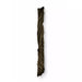 Duorum Door Pull EA1115