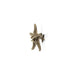 Linckia Drawer Handle OC2011