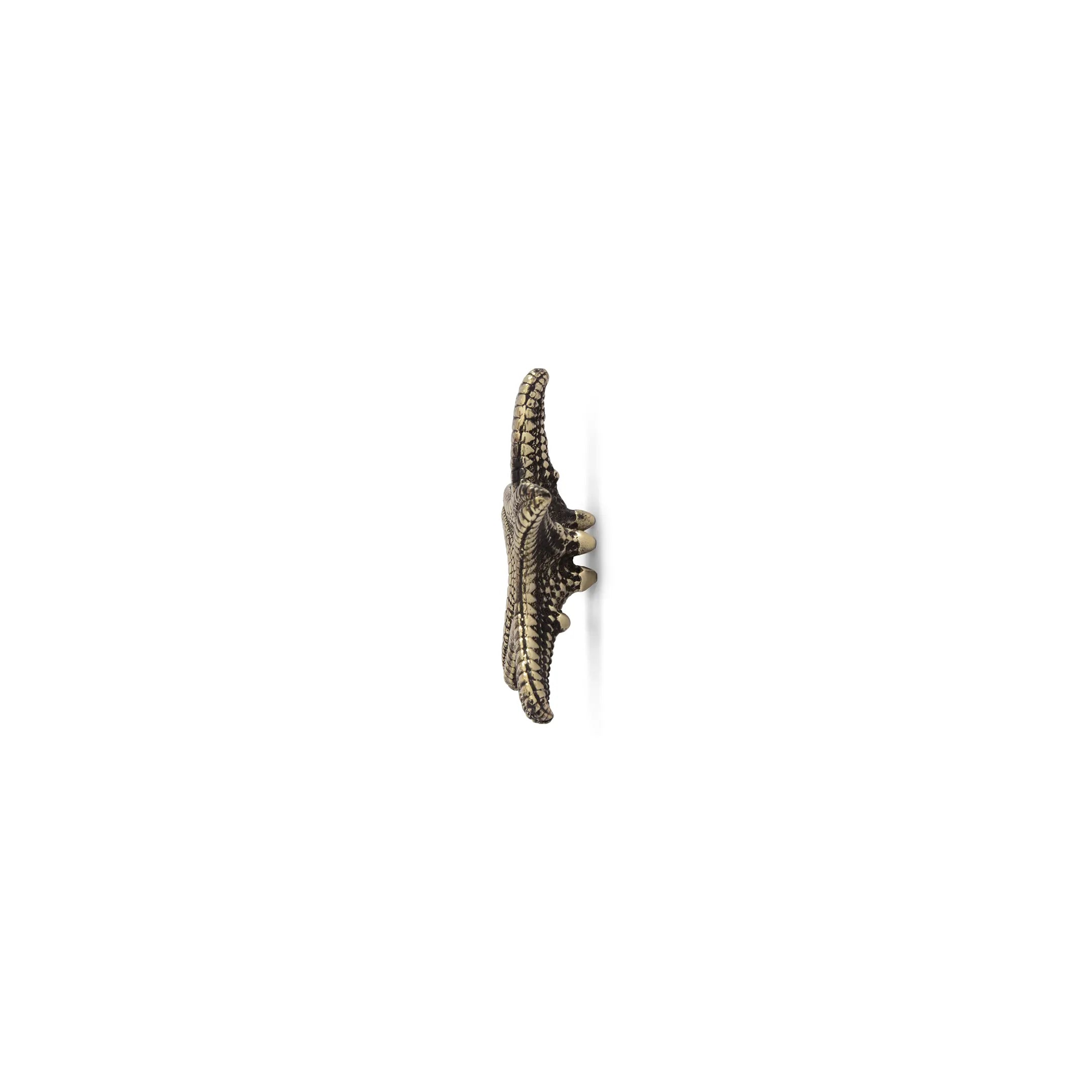 Linckia Drawer Handle OC2013