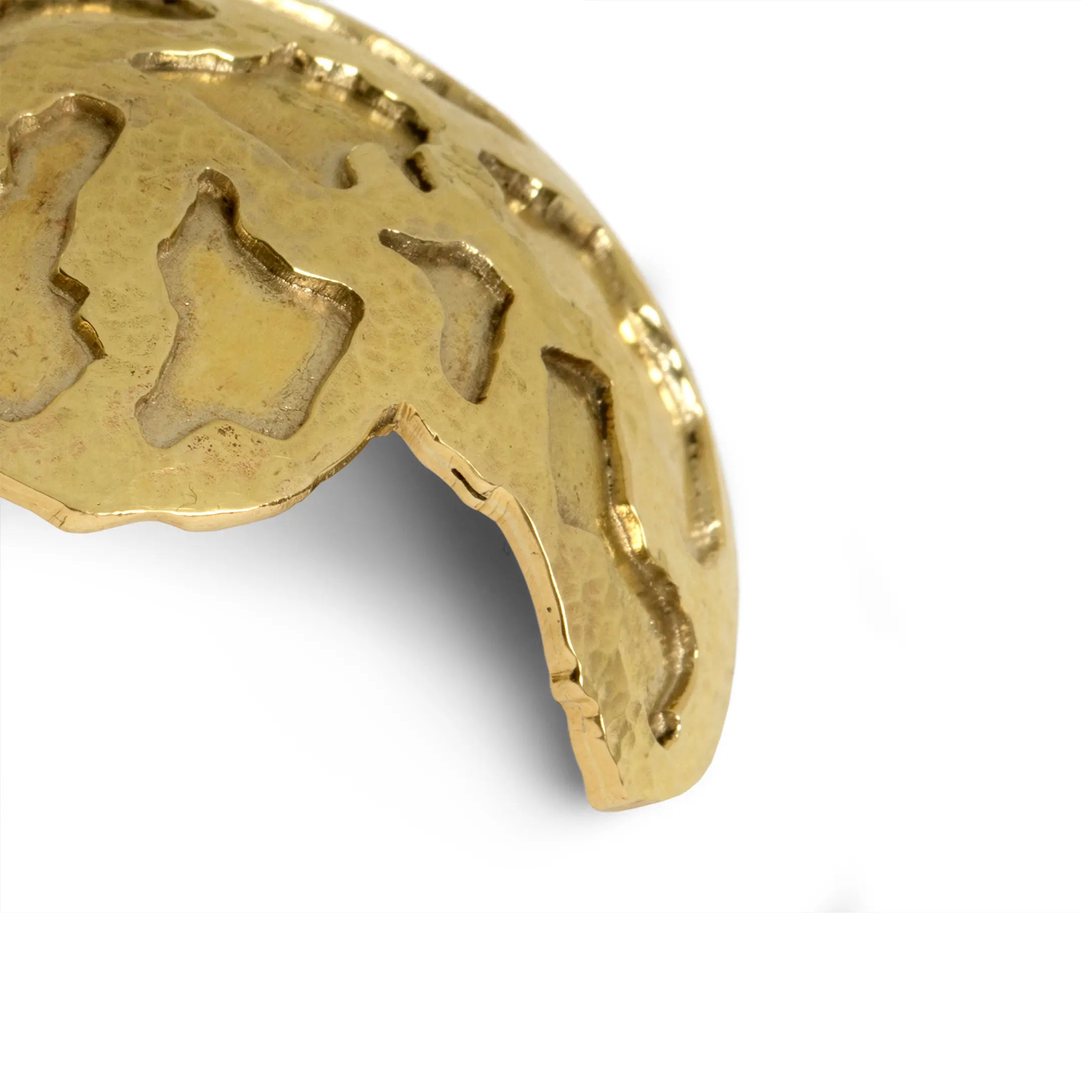 Turtle Drawer Handle OC2021