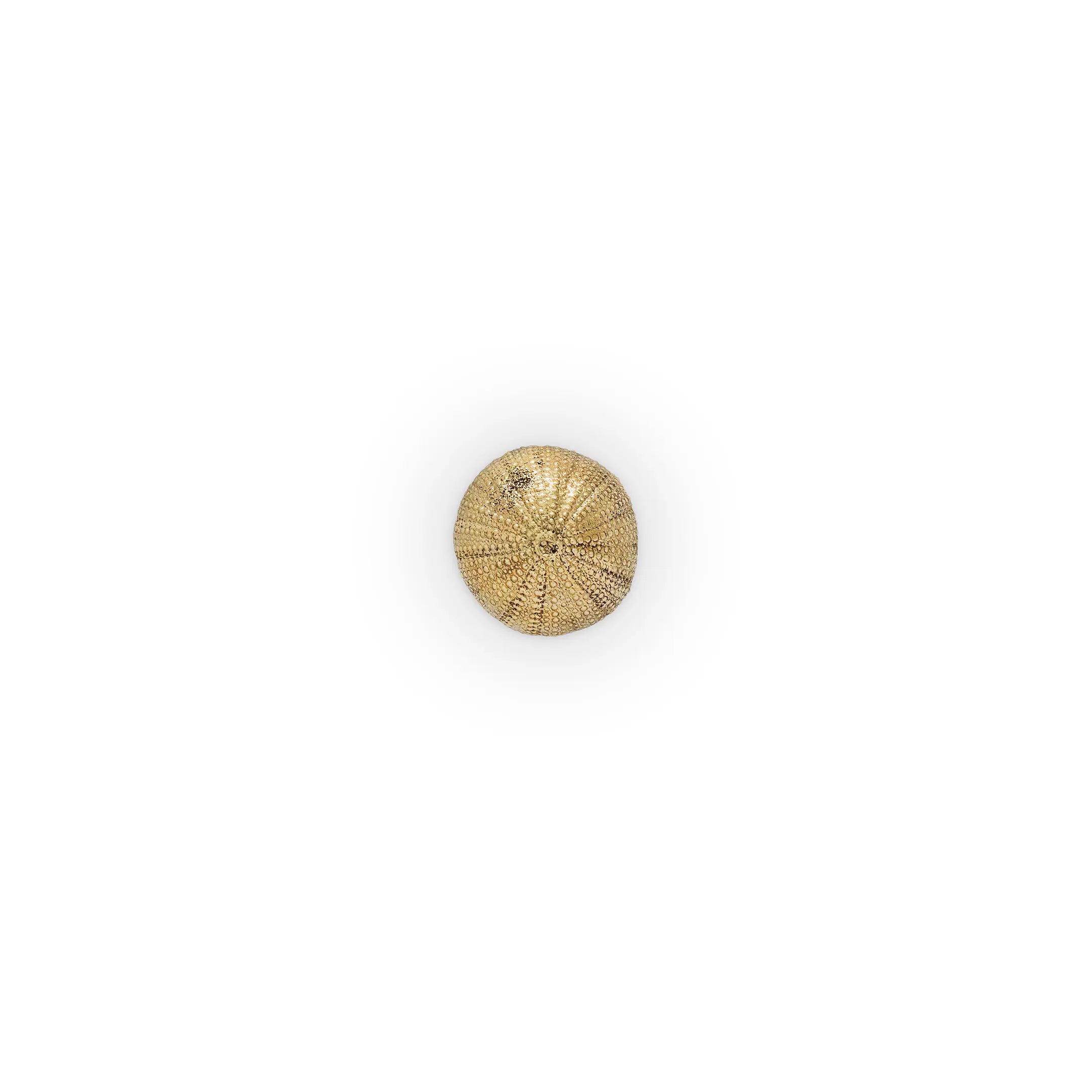 Urchin Drawer Handle OC2026