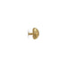 Urchin Drawer Handle OC2026