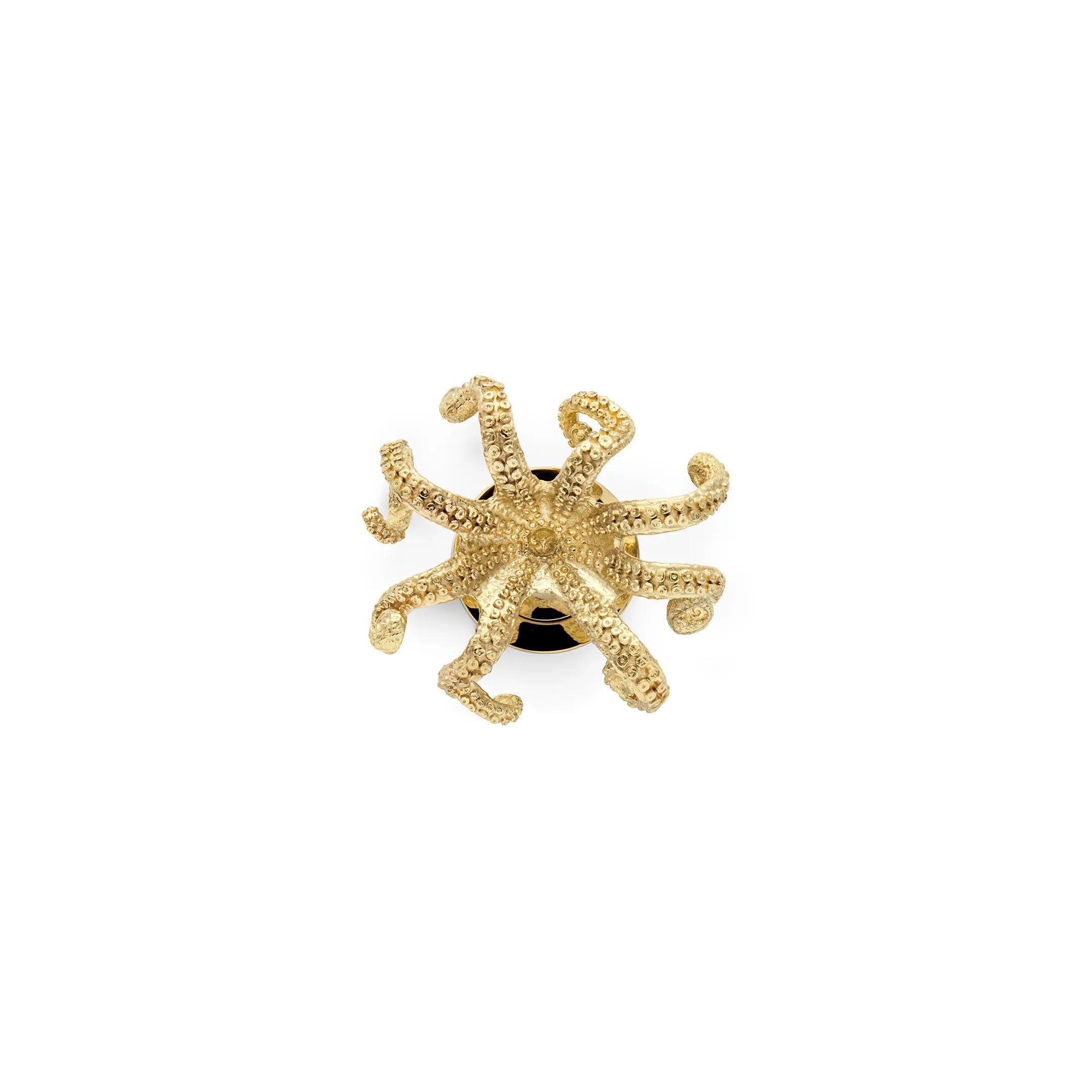 Octo Door Knob OC2031