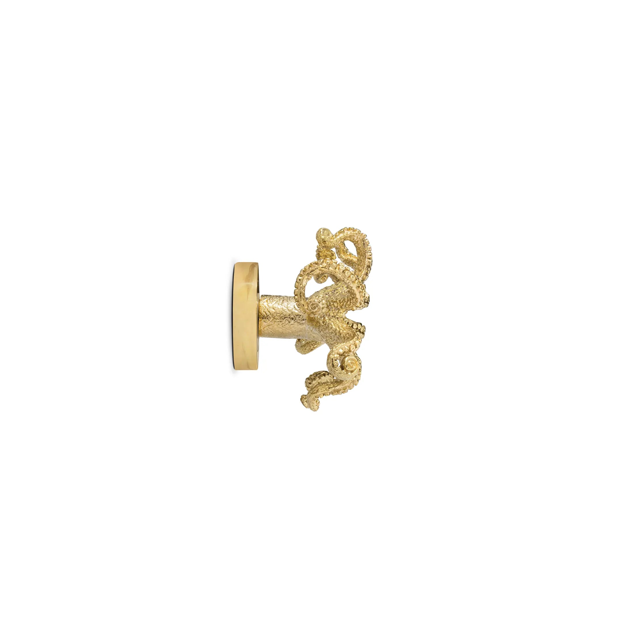 Octo Door Knob OC2031