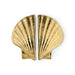 Seashell Drawer Handle OC2039