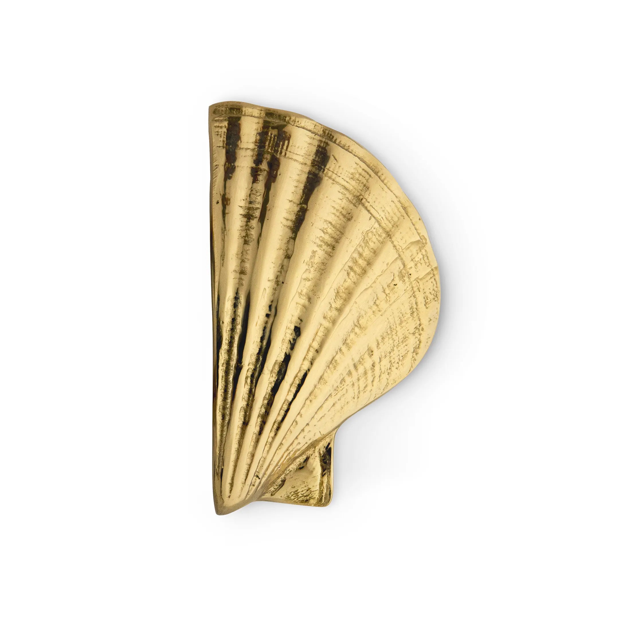 Seashell Drawer Handle OC2039