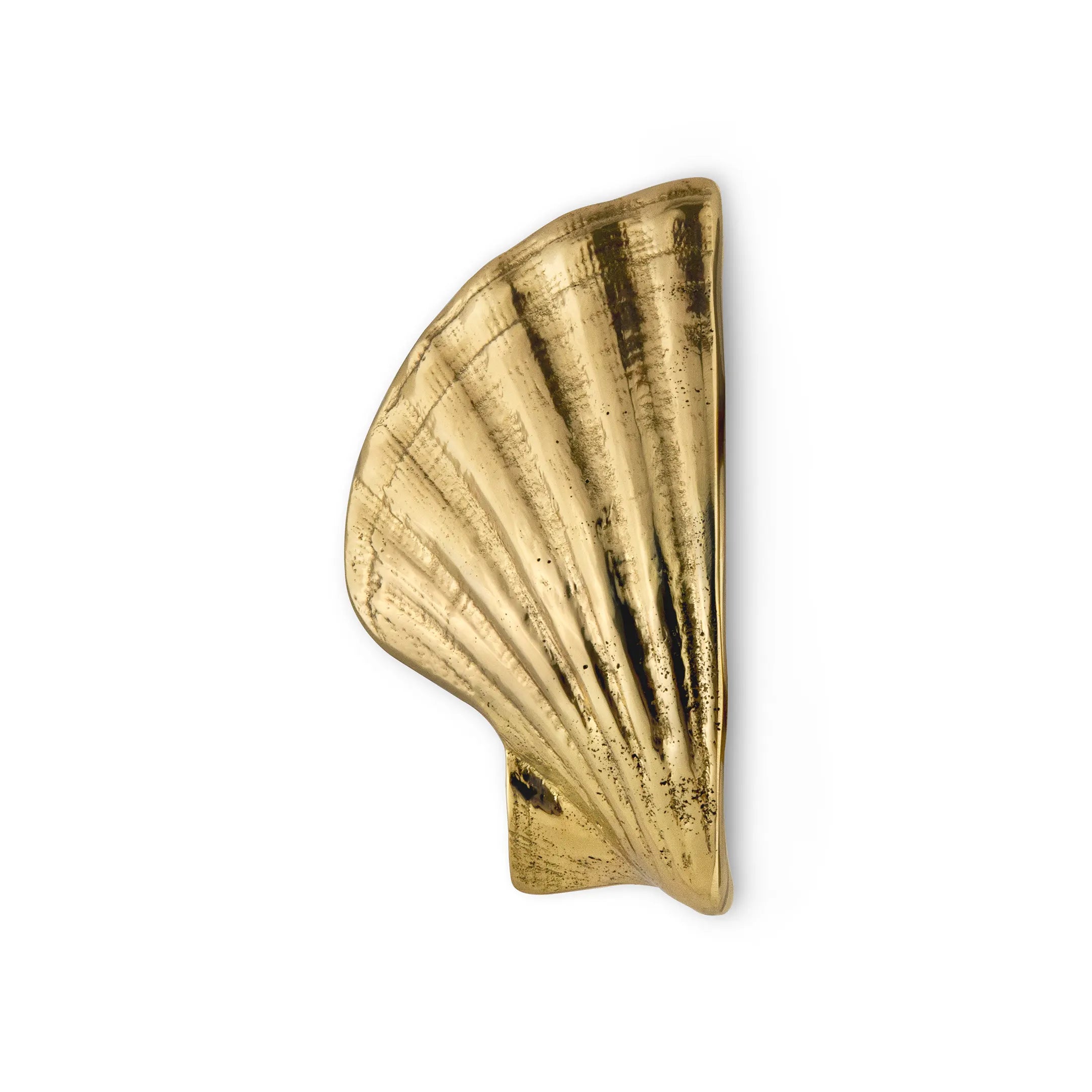 Seashell Drawer Handle OC2039