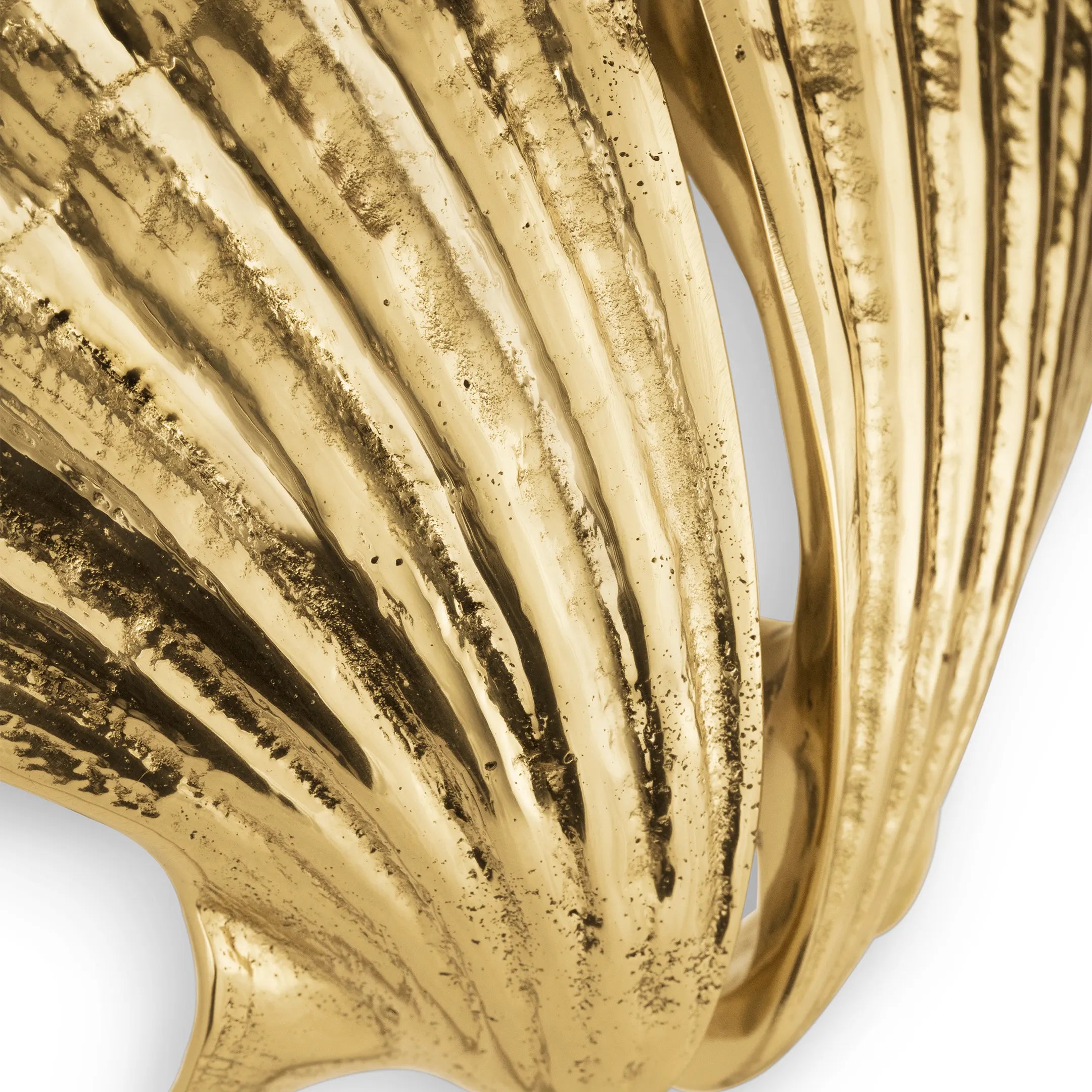 Seashell Drawer Handle OC2039