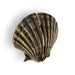 Seashell Drawer Handle OC2039