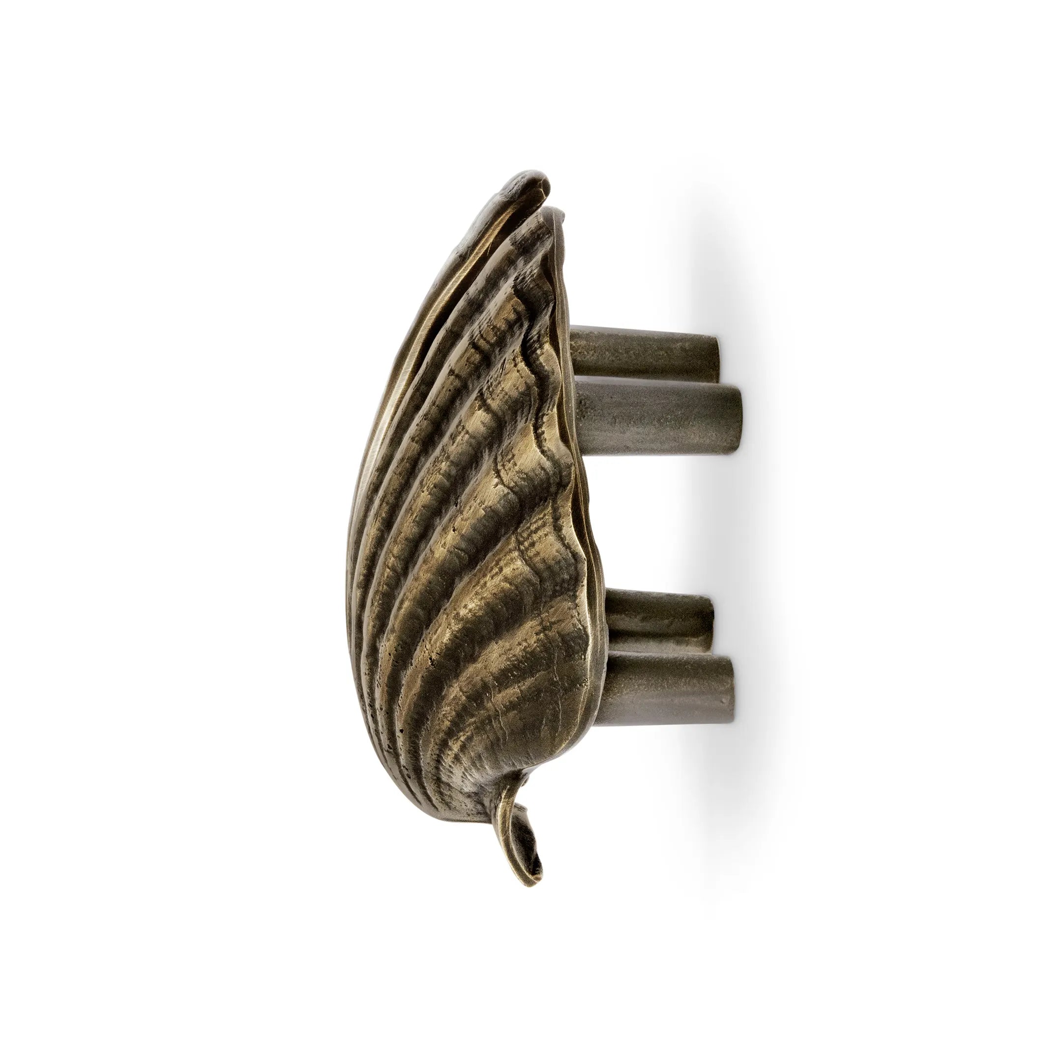 Seashell Drawer Handle OC2039