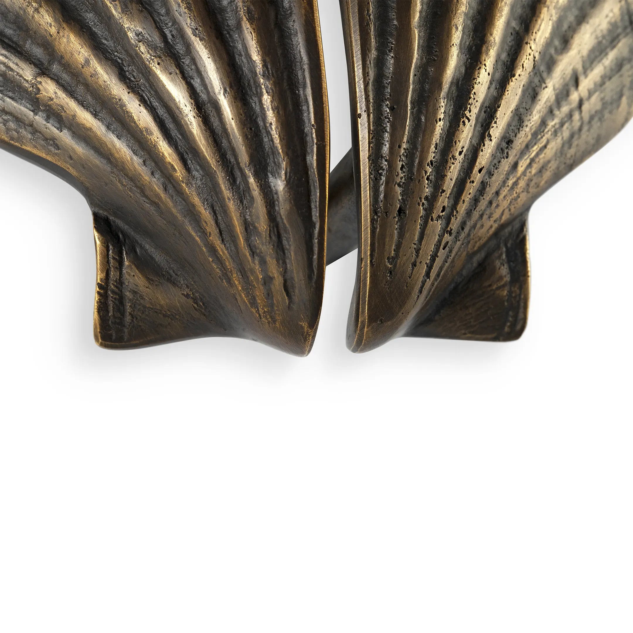 Seashell Drawer Handle OC2039