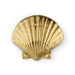 Seashell Drawer Handle OC2040