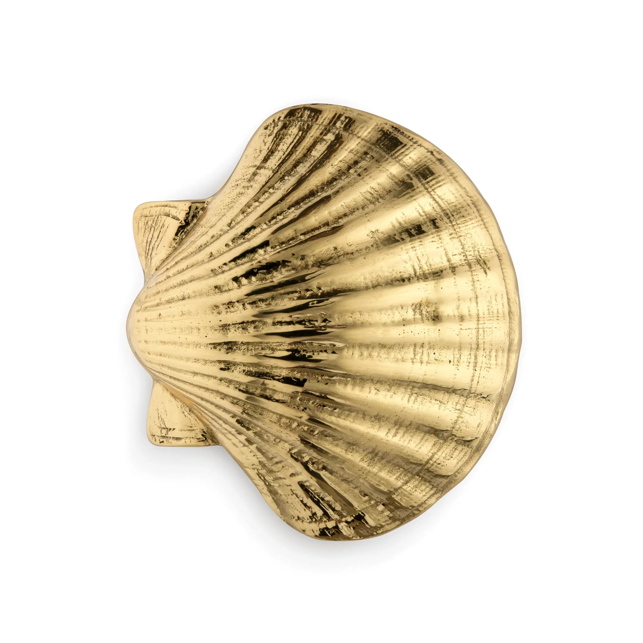 Seashell Drawer Handle OC2040