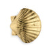 Seashell Drawer Handle OC2040