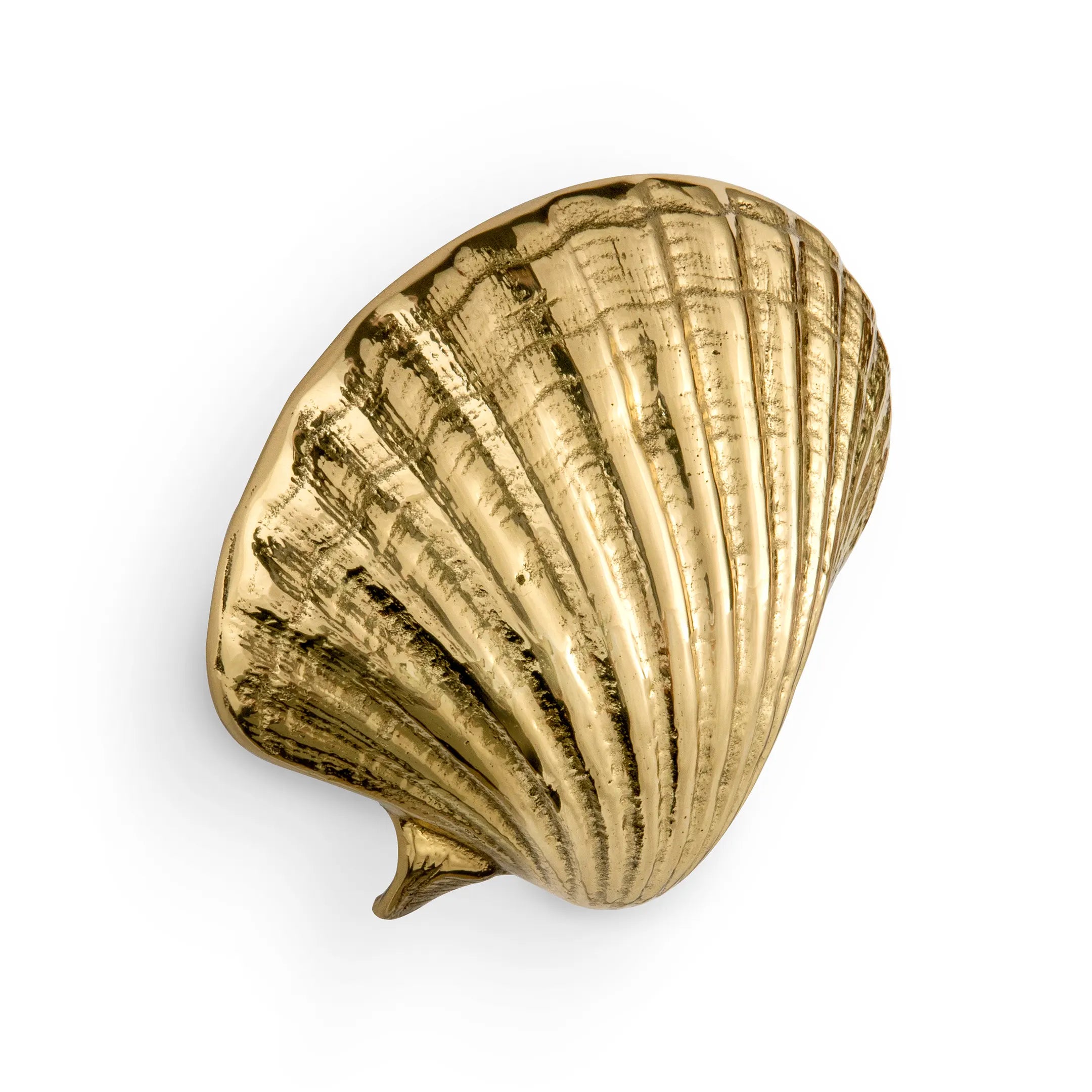 Seashell Drawer Handle OC2040
