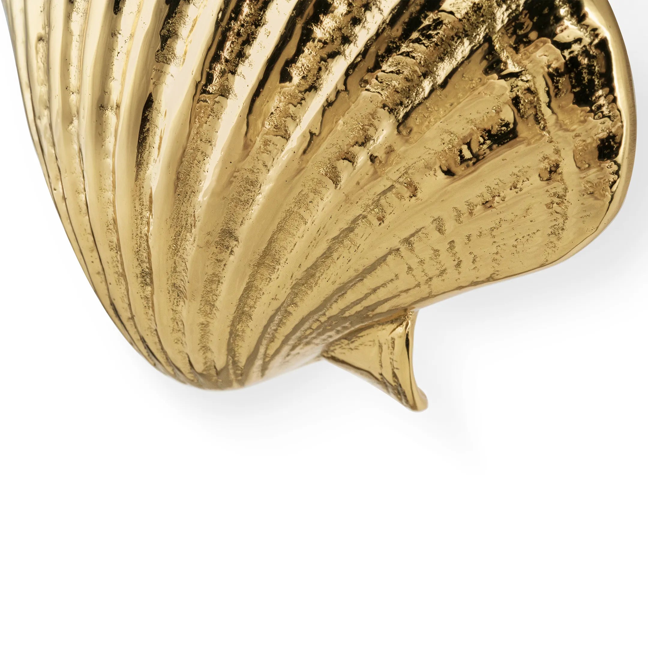 Seashell Drawer Handle OC2040
