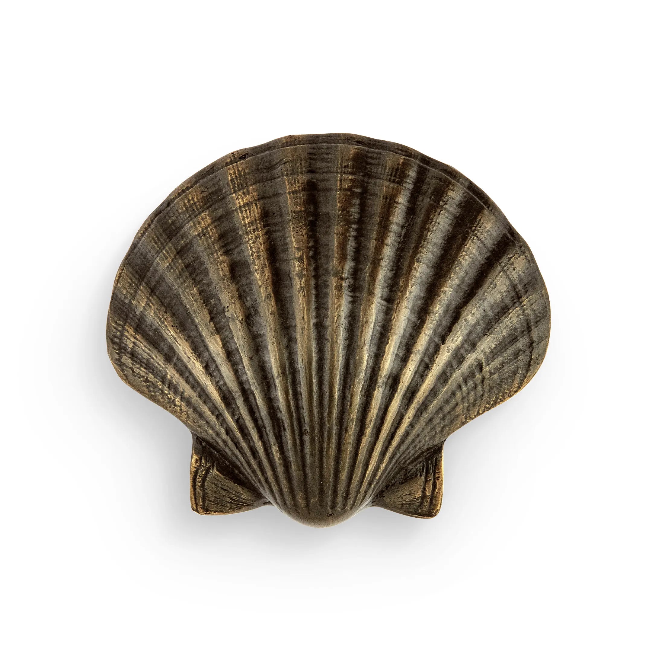 Seashell Drawer Handle OC2040