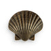 Seashell Drawer Handle OC2040