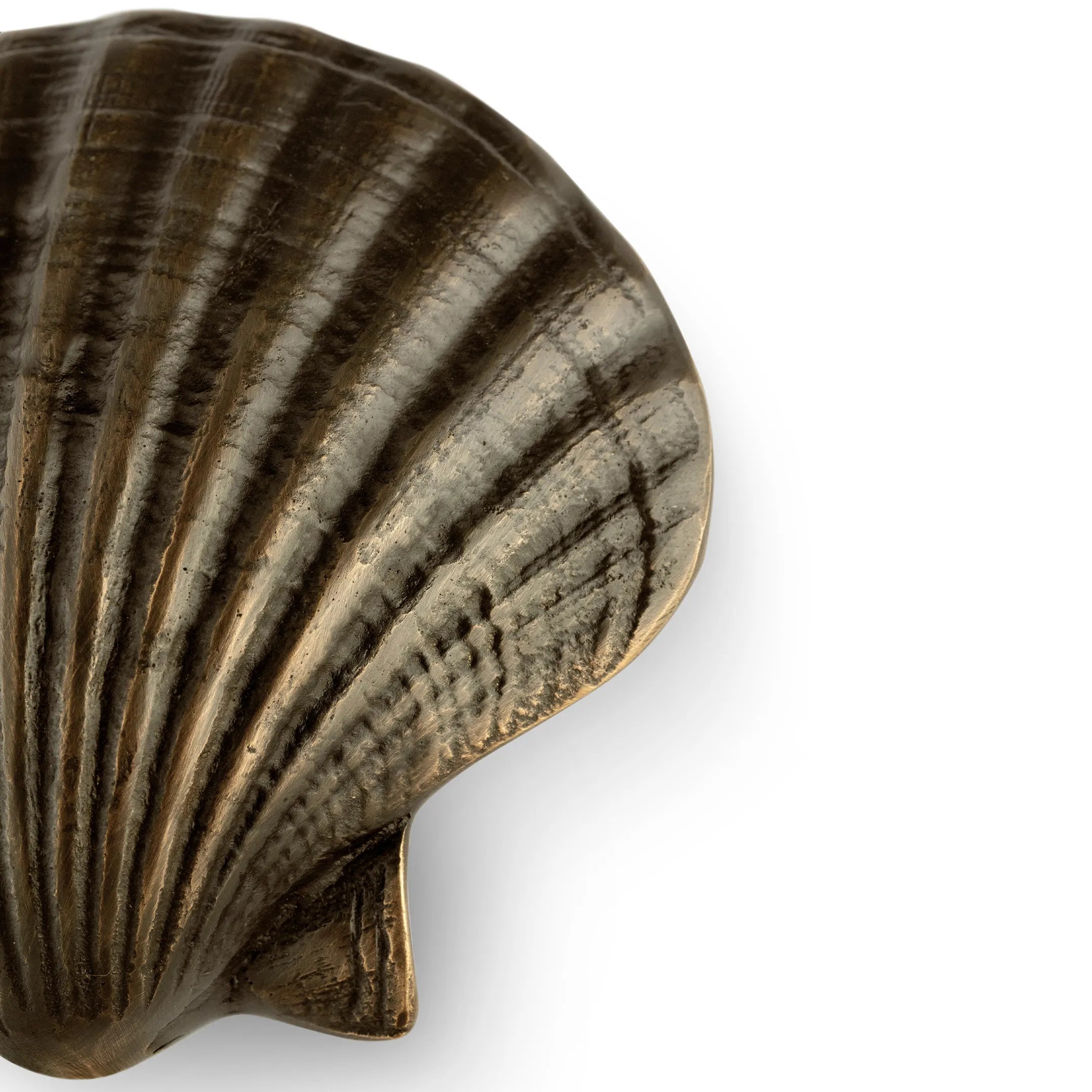 Seashell Drawer Handle OC2040