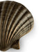 Seashell Drawer Handle OC2040