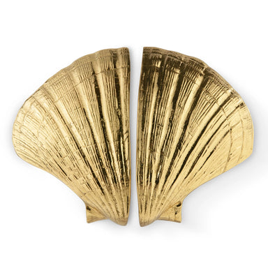 Seashell Door Pull OC2041