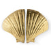 Seashell Door Pull OC2041