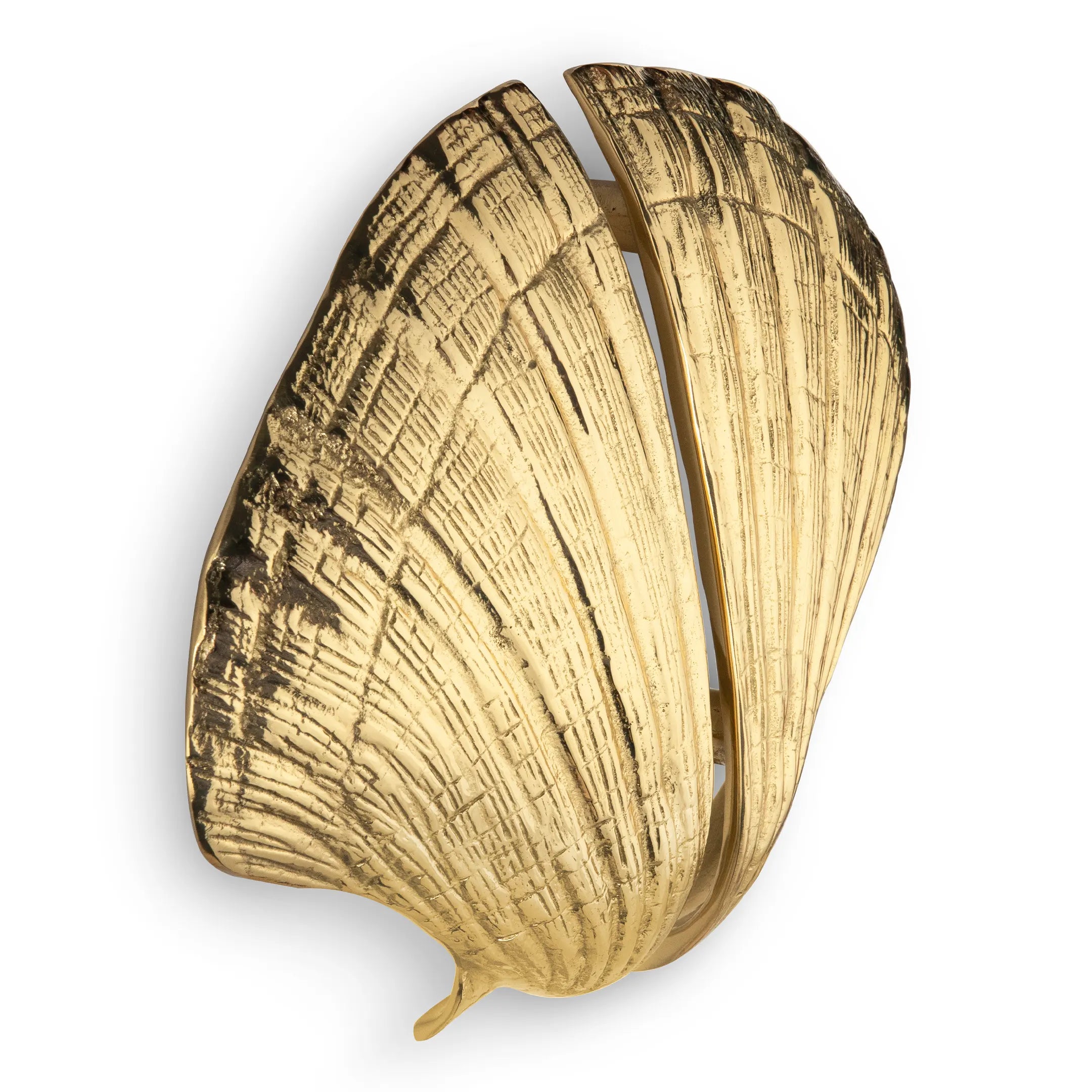 Seashell Door Pull OC2041