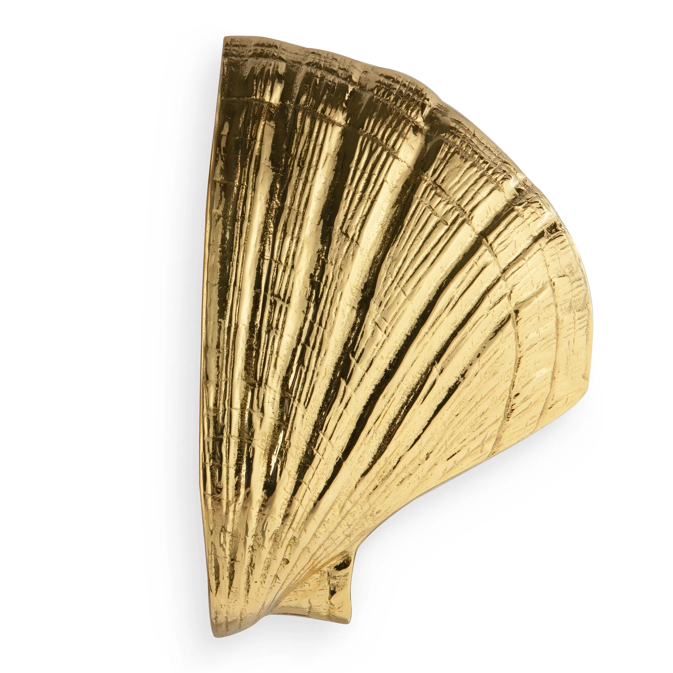 Seashell Door Pull OC2041