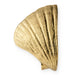 Seashell Door Pull OC2041