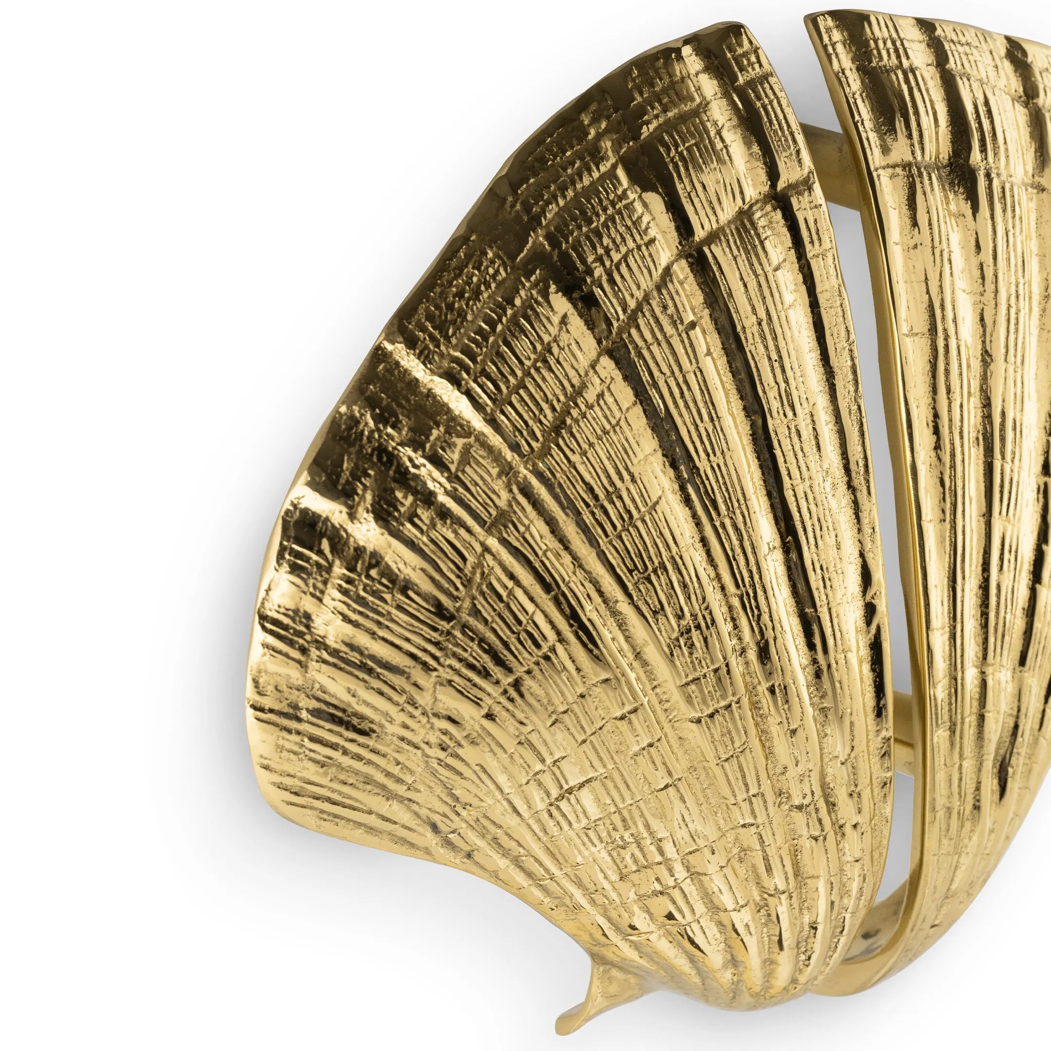 Seashell Door Pull OC2041