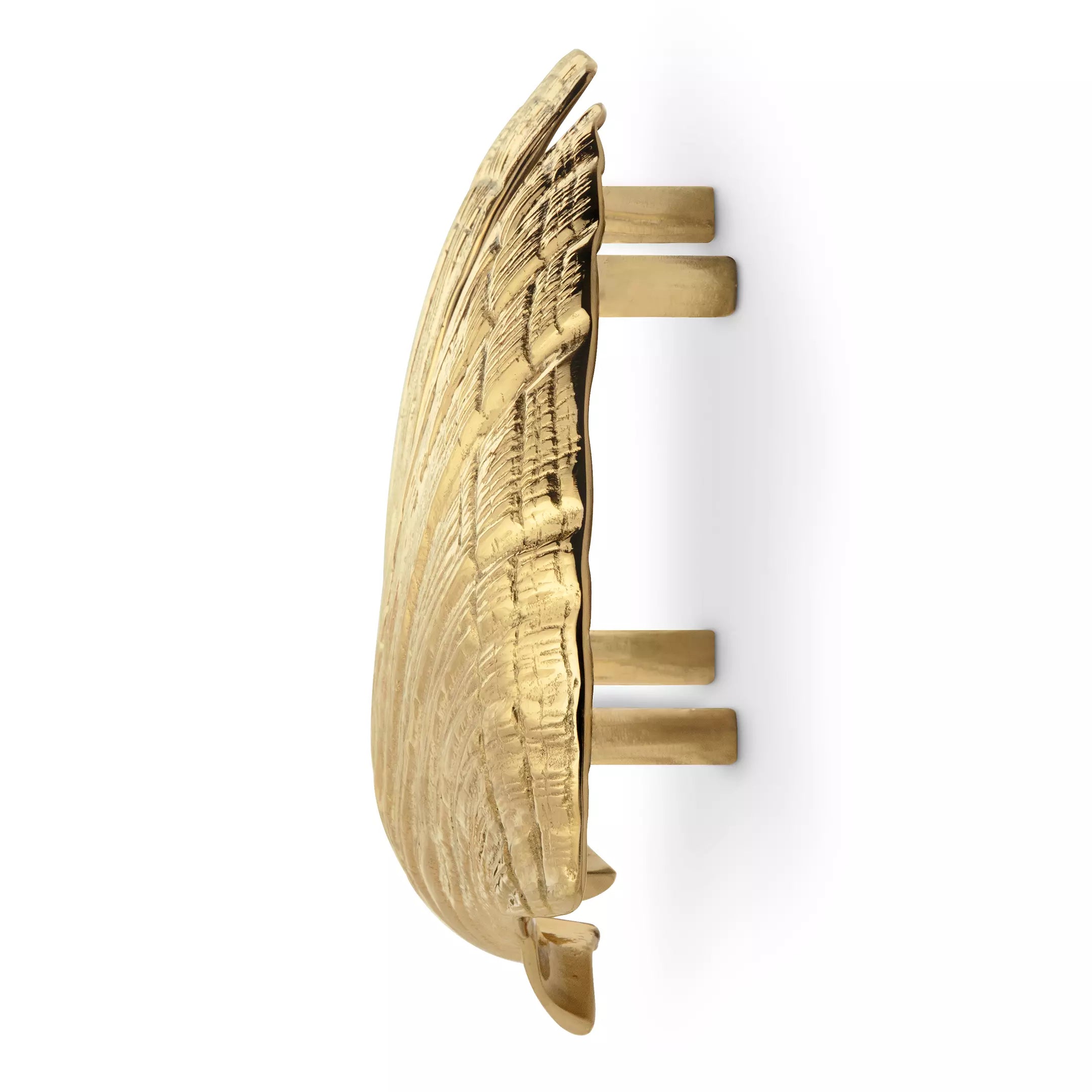 Seashell Door Pull OC2041